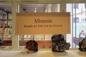 museum fur naturkunde berlin 5-2025 1493